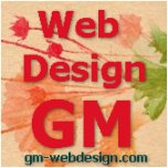 Professional website design services