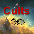 What is a Cult?