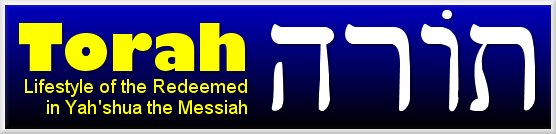 Click here for New Covenant Torah articles